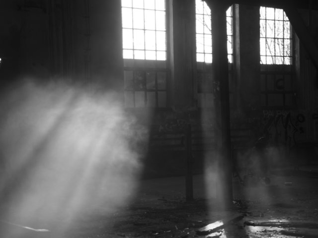 Lichtspiel | Foto: Thomas Hauffe