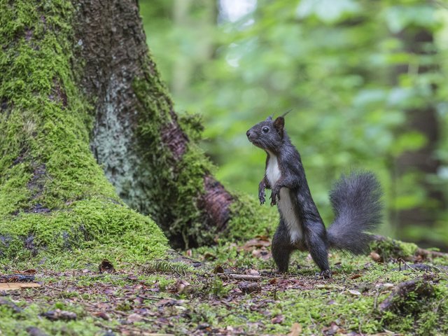 Ich bin der Größte | Foto: Yvonne Spörl