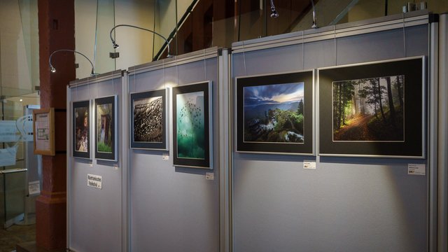 Preisträgerfotos