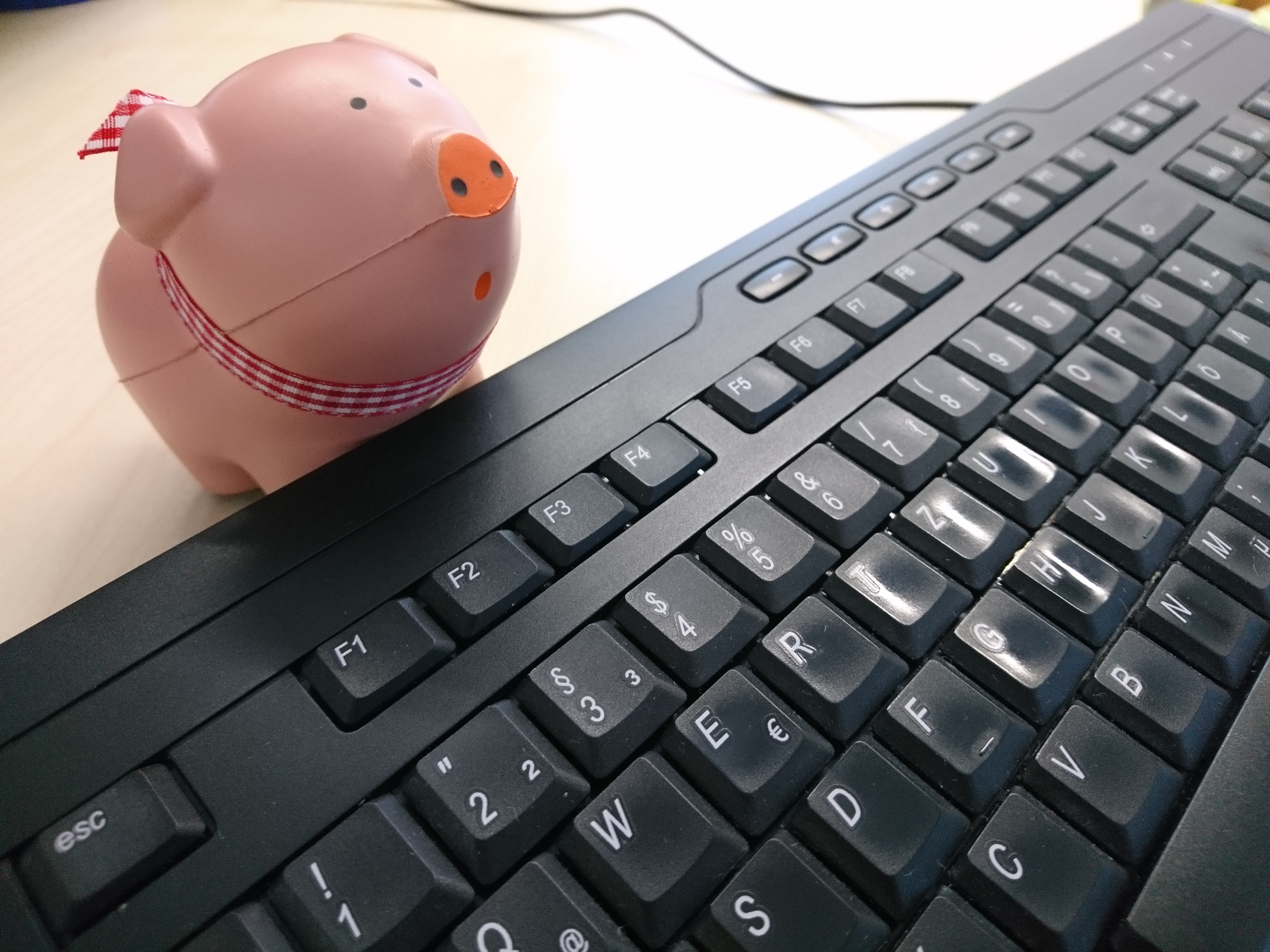 Tag der sauberen Tastatur - nix für "Dreckschweinchen" ;-)