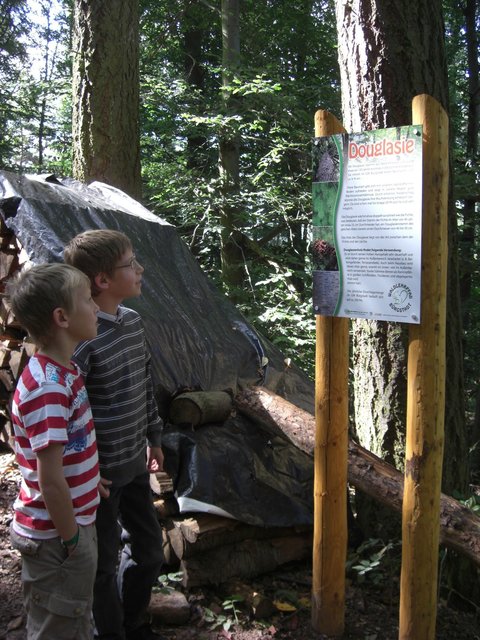 Wie wohnt ein Specht? Infos über viele Waldbewohner bekommt man auf dem Waldlehr- und Erlebnispfad Bürgstadt. | Foto: Paul Platz, Revierförster Bürgstadt