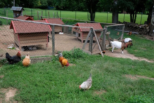 Das Tiergehege im Beachpark in Elsenfeld. | Foto: Sylvia Kester