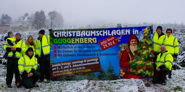 Wohl preisgünstiger sind die Bäume bei Horst Schneider in Guggenberg.  Bei ihm kostet jeder Baum 29, 90 Euro !