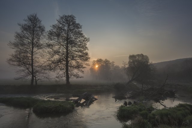 (C) Sonnenaufgang im Nebel - Auszeichnung Urkunde | Foto: Yvonne Spörl