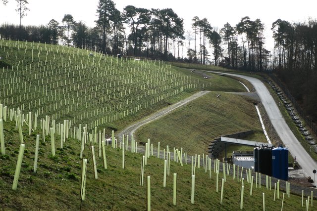 Vorwiegend heimische Pioniergehölze und Wildstraucharten wurden eingesetzt. Foto: KWiN/AWN, Martin Hahn