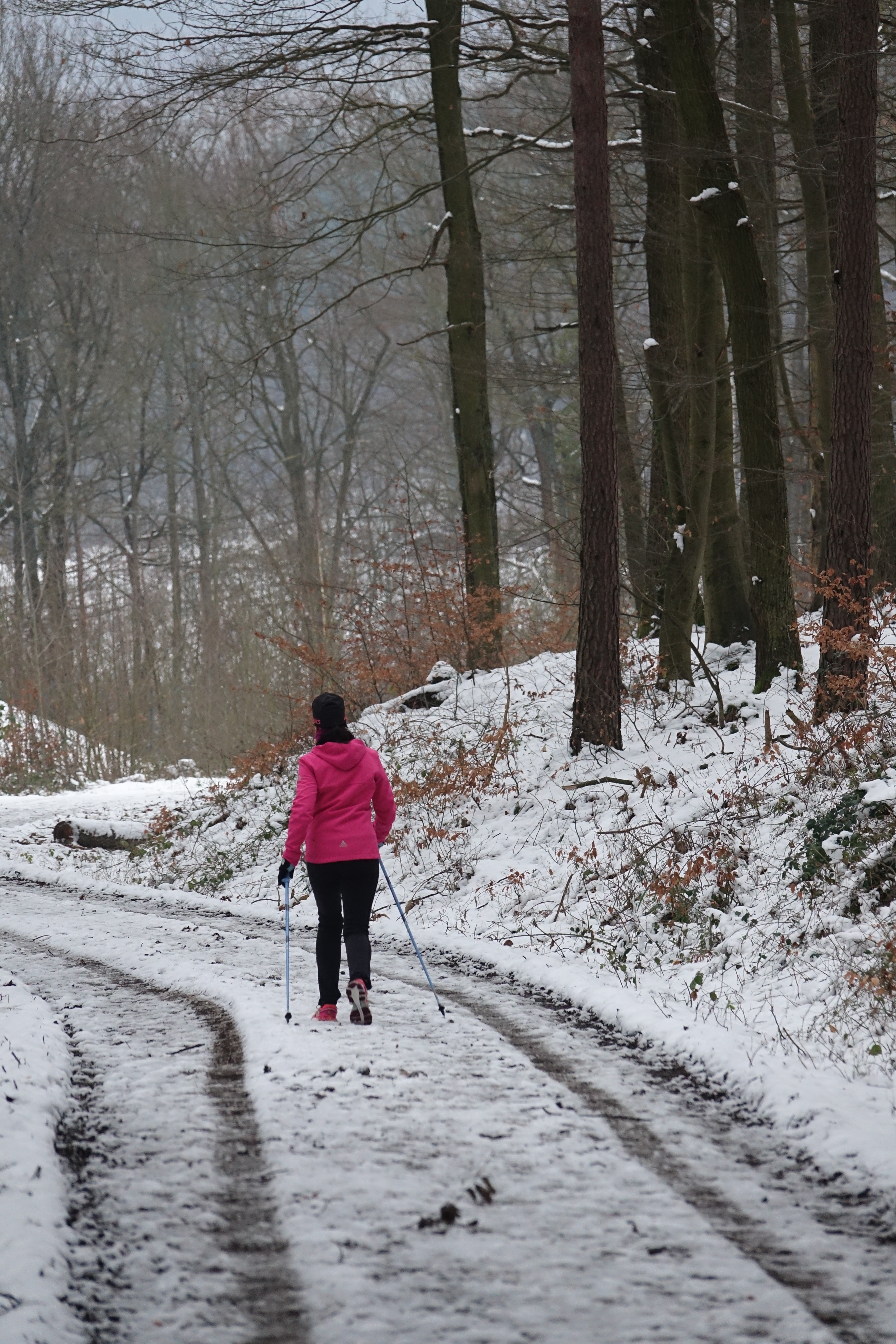 Unterwegs an der alten Wenschdorfer Steige bei Miltenberg.