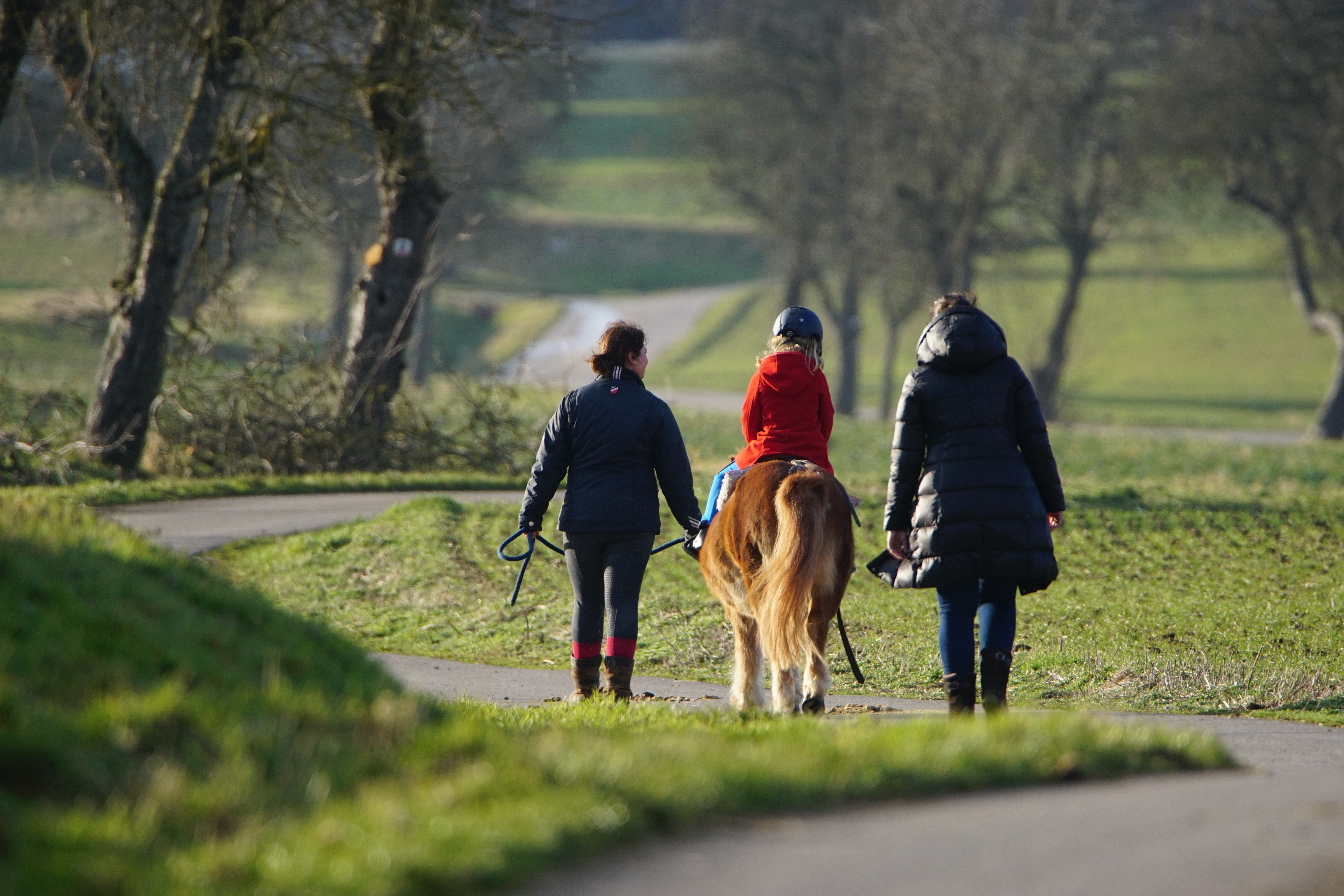Spaziergang zu viert im Odenwald.