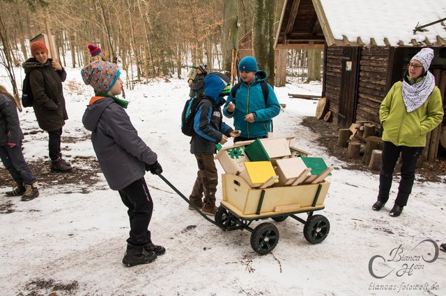 Nistkästen bauen mit churNatur