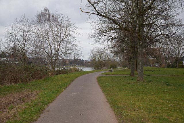 Der Mainufer-Weg.