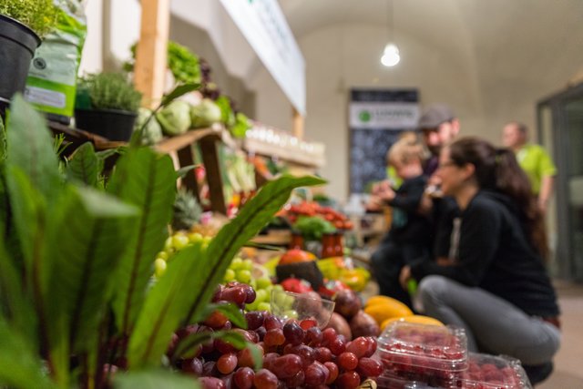4. Churfranken Genussfestival (Foto: Dominik Stapf, News Verlag Miltenberg)