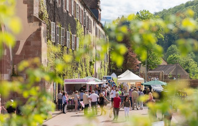 4. Churfranken Genussfestival (Foto: Dominik Stapf, News Verlag Miltenberg)
