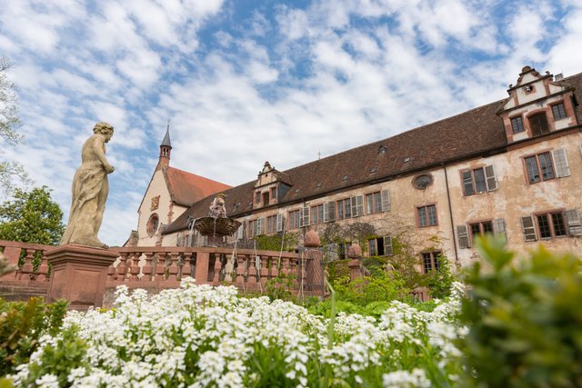 4. Churfranken Genussfestival (Foto: Dominik Stapf, News Verlag Miltenberg)