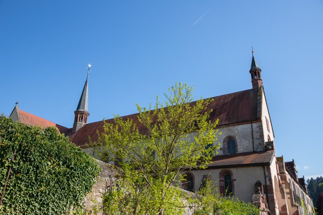 4. Churfranken Genussfestival (Foto: Dominik Stapf, News Verlag Miltenberg)