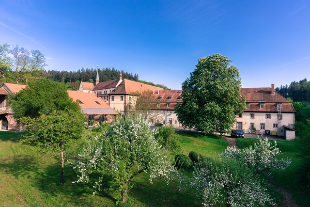 4. Churfranken Genussfestival (Foto: Dominik Stapf, News Verlag Miltenberg)