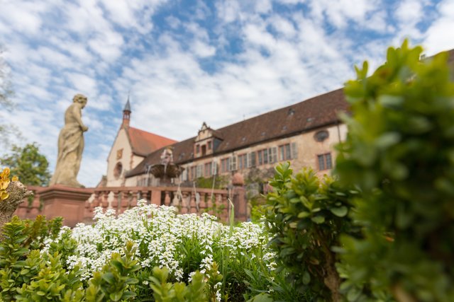 4. Churfranken Genussfestival (Foto: Dominik Stapf, News Verlag Miltenberg)