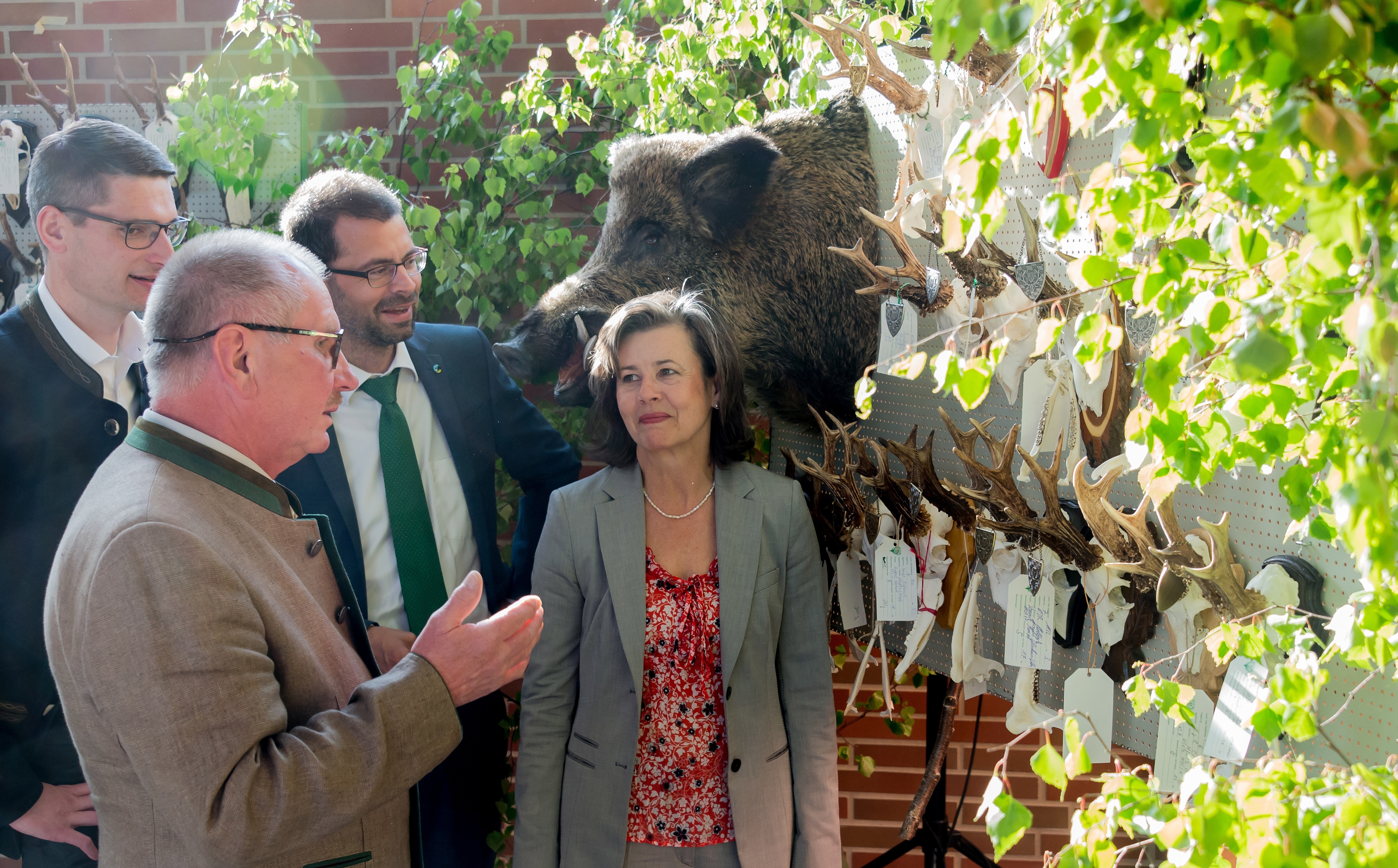 Jagdbeiratsmitglied Bernd Spilger, BJV-Vorsitzender Klaus-Peter Gerhart, Landrat Jens Marco Scherf und die Leiterin der Unteren Naturschutzbehörde, Regina Groll (von links) nahmen in der Hegeschau der BJV-Kreisgruppe Nord die Trophäen in Augenschein.