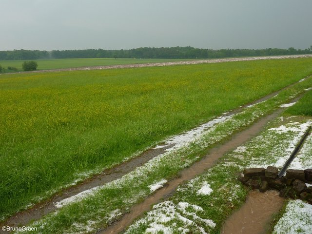 Hagel und Starkregen in Wenschdorf