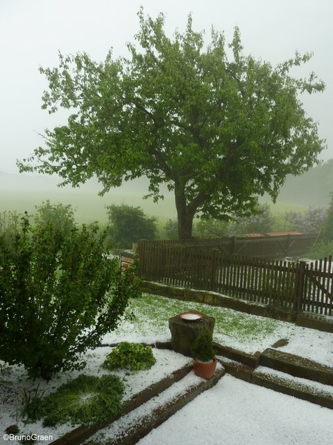 Hagel und Starkregen in Wenschdorf
