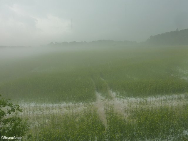 Hagel und Starkregen in Wenschdorf