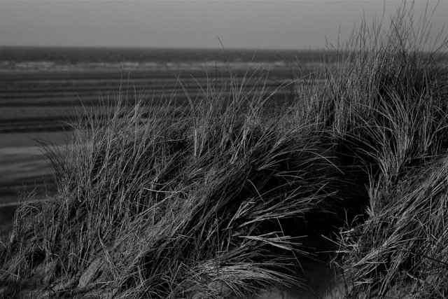 In den Dünen | Foto: Wolfgang Kuhlen