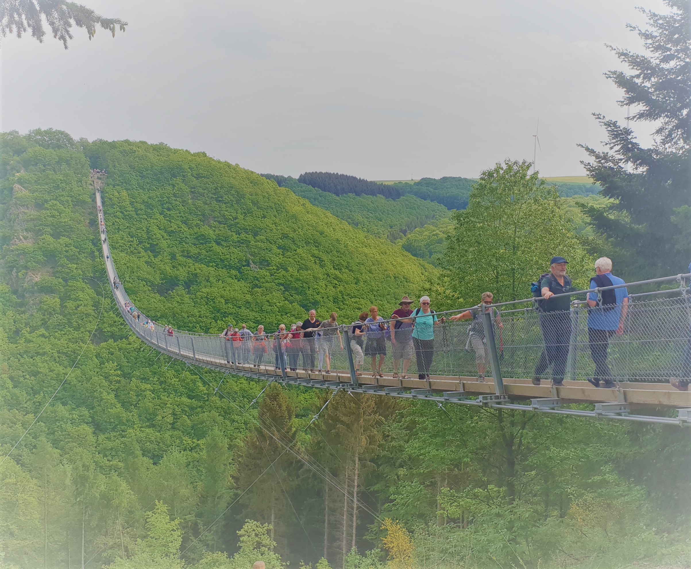 Atemberaubend - auf der Geierlayhängebrücke