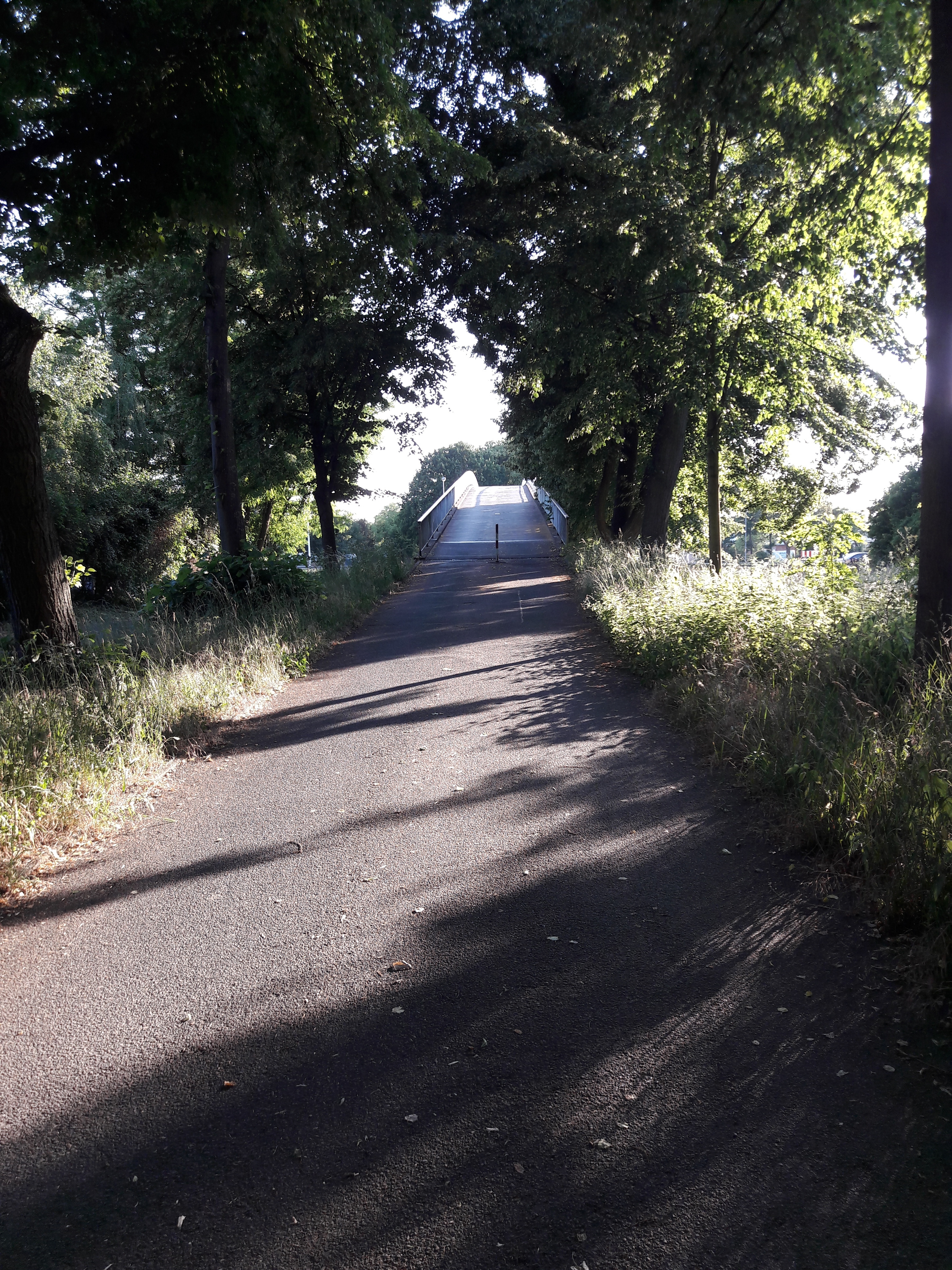 Ein beliebter Weg bei Fußgängern und Radlern.