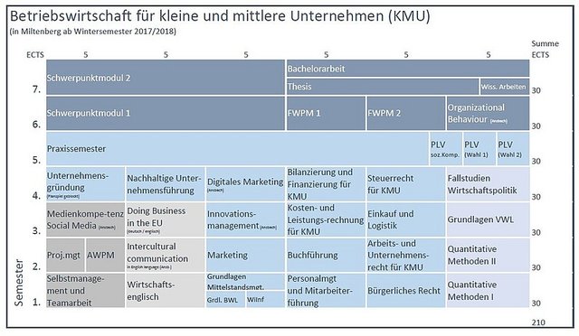 So ist das Bachelorstudium am Standort Miltenberg aufgebaut.