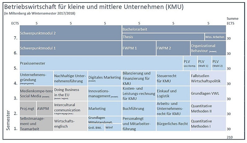 So ist das Bachelorstudium am Standort Miltenberg aufgebaut.