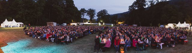 Sommerrausch 2018 in Amorbach, Foto: Dominik Stapf