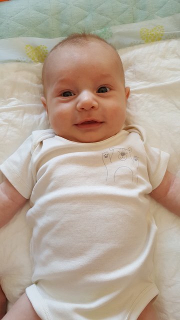 Nilas 10.04.2018