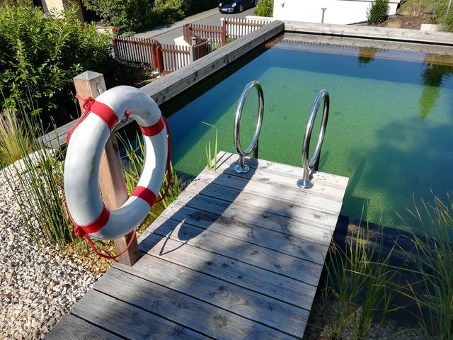 Schwimmteich