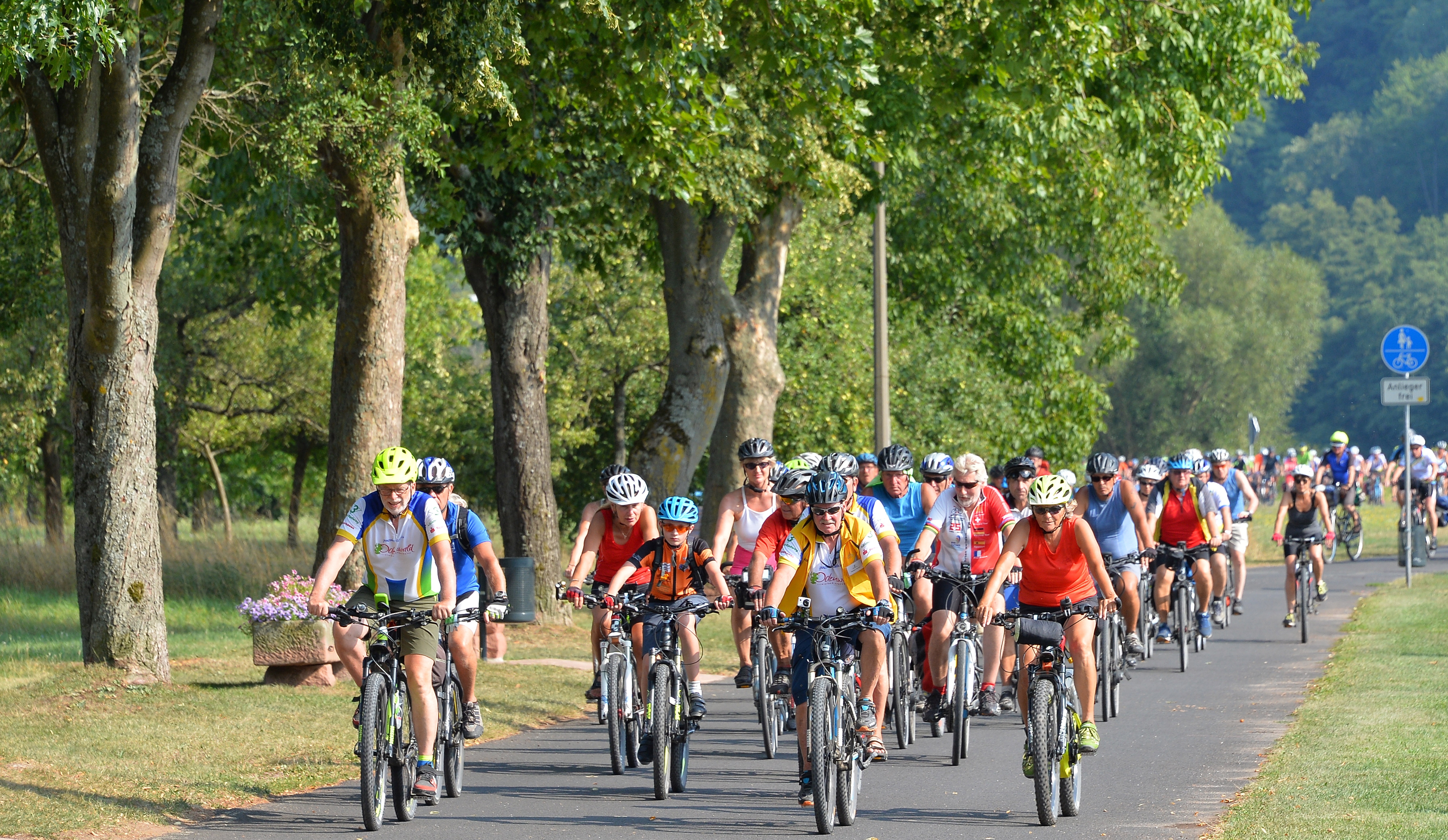 Bei 36 Grad im Schatten zog sich der Radfahrertross am Donnerstagnachmittag entlang des Mains – hier in Dorfprozelten –in Richtung Miltenberg.