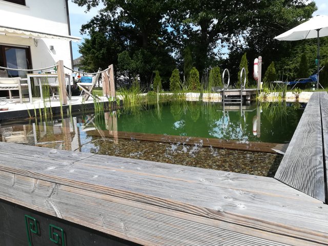 Schwimmteich