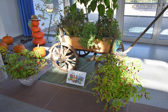 Ausstellung des Obst- und Gartenbauvereins Bürgstadt.