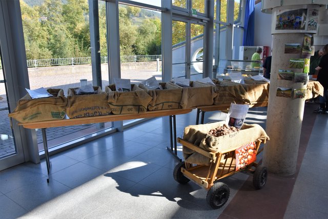 Ausstellung des Obst- und Gartenbauvereins Bürgstadt.