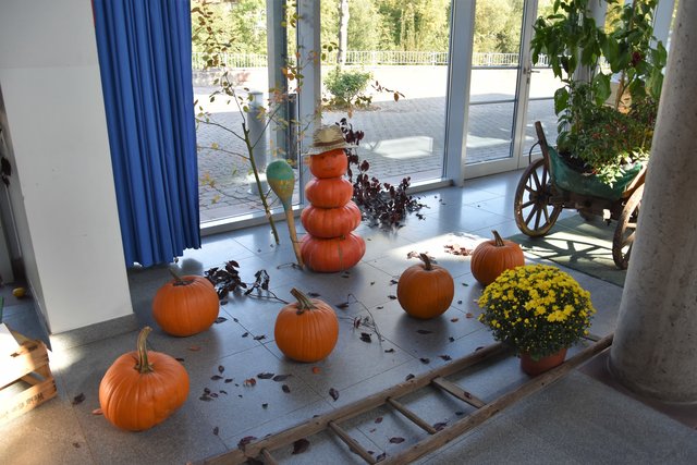 Ausstellung des Obst- und Gartenbauvereins Bürgstadt.