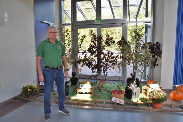 Karl-Heinz Specht, 2. Vorsitzender des Obst- und Gartenbauvereins Bürgstadt, vor der Darstellung einer Streuobstwiese.