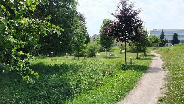 Der Baumlehrpfad in den Aschaffauen