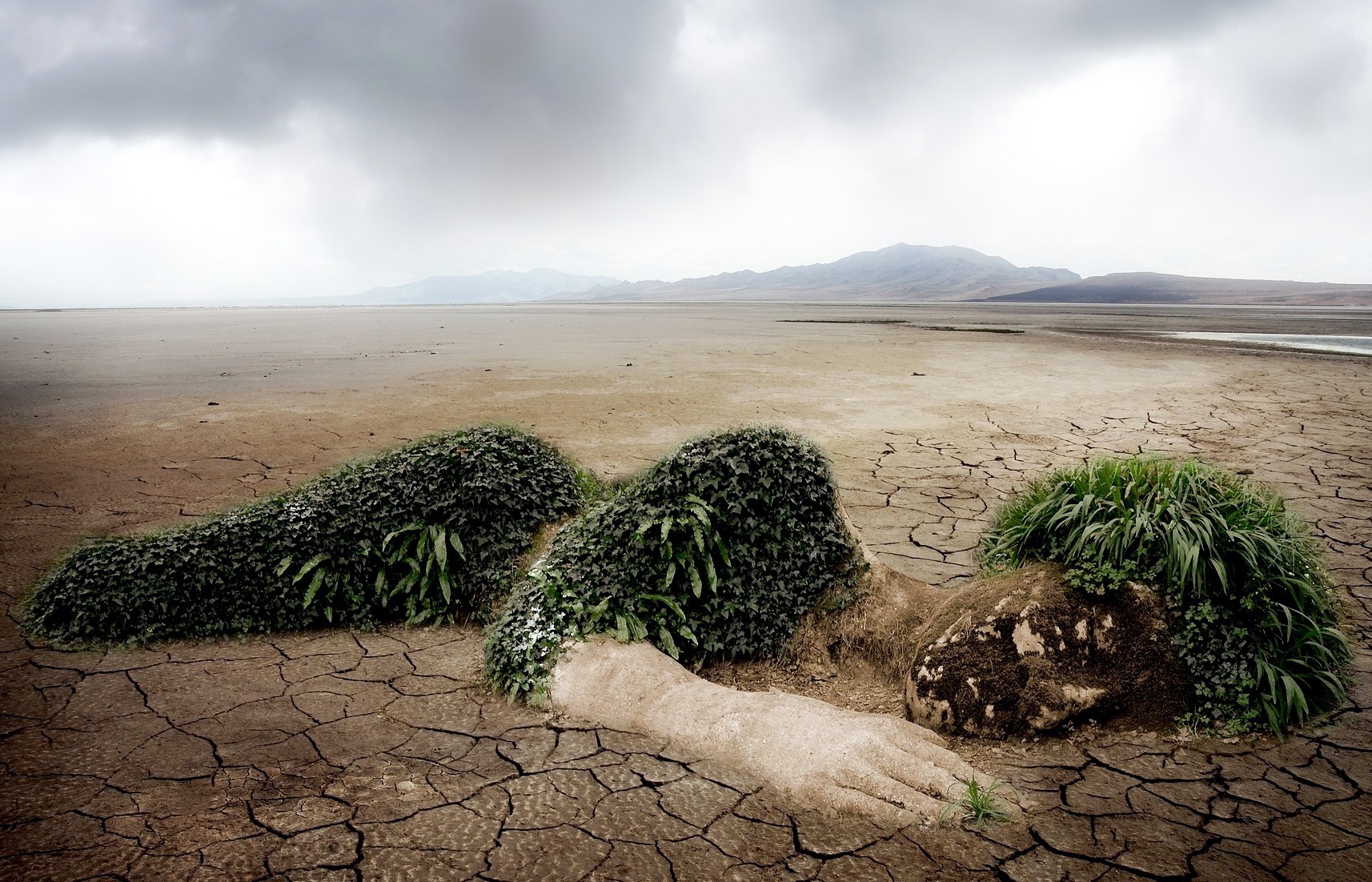 Klimaschutz ist ein wichtiger Beitrag zum Erhalt der Lebensgrundlagen.