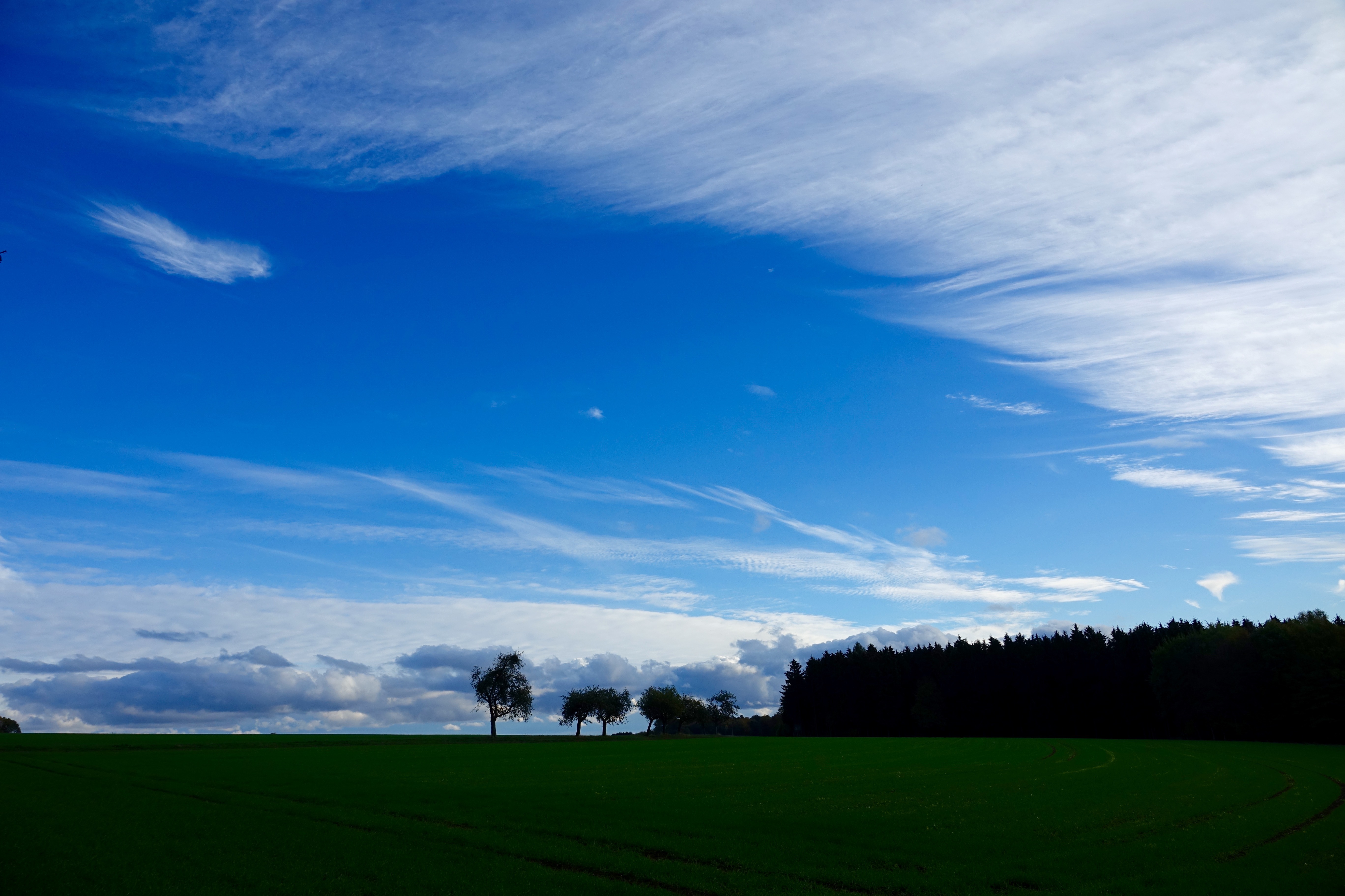 Allerheiligenwetter bei Miltenberg
