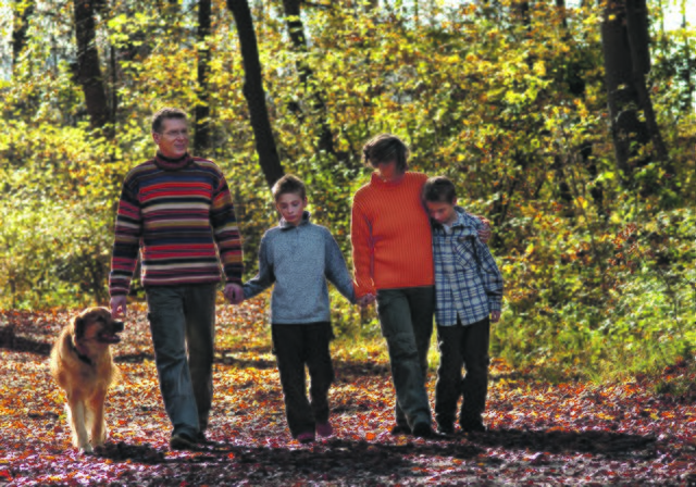 Spaziergehen mit der ganzen Familie durch den herbstlichen Wald ist gesund und macht Spaß. | Foto: MEV - PC600701
