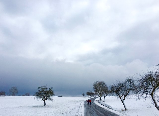Bei Miltenberg- Schippach. 