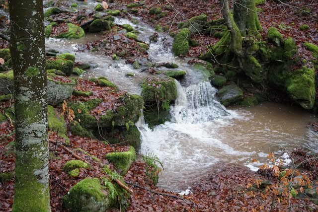 Schneeschmelze im Oberland. Wasser im Unterland - gesehen im Odenwald. 