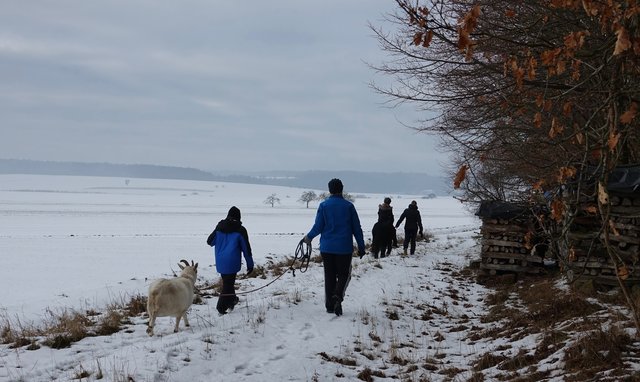 Winterspaziergang bei Eichenbühl-Heppdiel mit Pony und Ziege. 