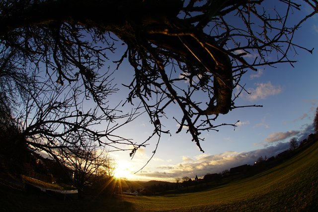Februar-Morgen bei Eichenbühl-Heppdiel. 