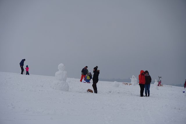 Winter 2019 bei Miltenberg-Wenschdorf