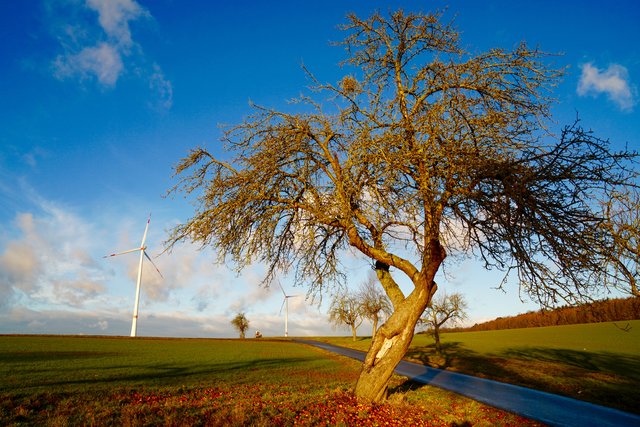 Es geht wieder nauswärts! Gesehen im Odenwald bei Eiochenbühl-Heppdiel. 