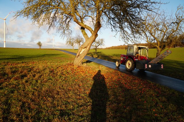 Hinaus ins Freie  - bei Eichenbühl-Heppdiel.