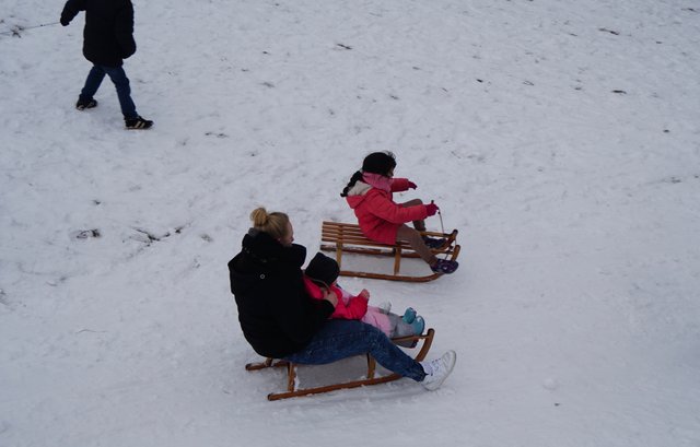 Winter 2019 bei Miltenberg-Wenschdorf.