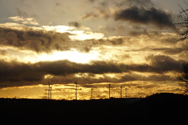 Februar-Morgendämmerung im Odenwald.